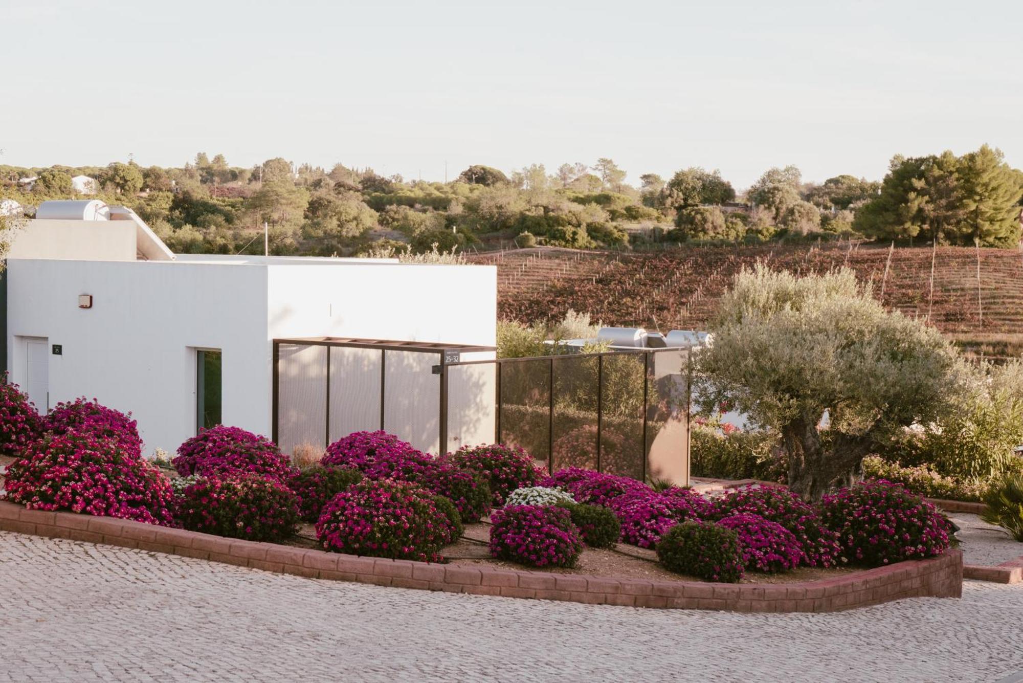 Quinta Dos Vales Wine Estate Guest House Estômbar Екстериор снимка