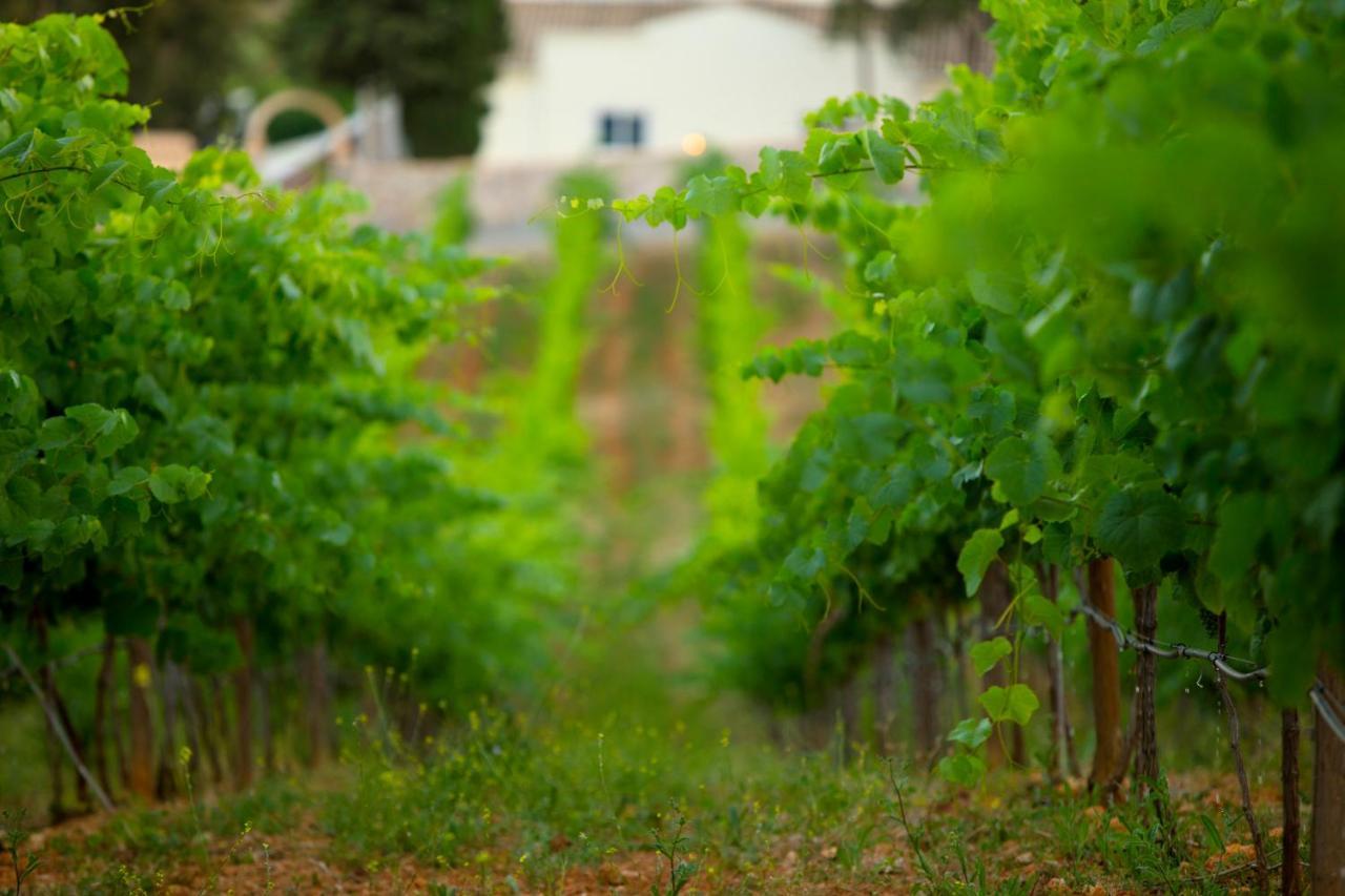 Quinta Dos Vales Wine Estate Guest House Estômbar Екстериор снимка